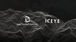 ICEYE 中国幸运体彩飞艇168官方网站 and the Jane Goodall Institute deploy SAR-based deforestation monitoring to protect Congo Basin wildlife habitats